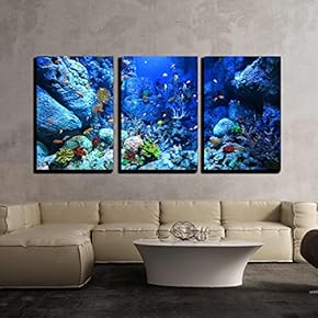 Beautiful Underwater World - 3 Panel Canvas Art
