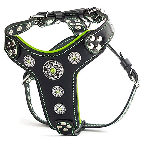 Bestia "Bijou'' genuine leather studded dog harness for small to medium breeds