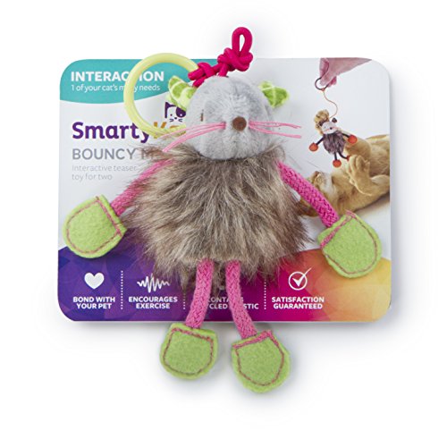 SmartyKat Bouncy Mouse Cat Toy Bungee Toy - //medicalbooks.filipinodoctors.org