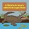 Livro O Jacaré Solitário da Lagoa Maior