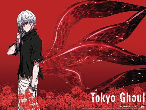 Tokyo Ghoul Fabric Poster One Eyed Ghoul Kagune New Toys ge79576
