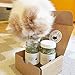 Tabby James Organic Catnip | Fresh Catnip | Made in USA | 100% Organic | Pack of Two 0.5 oz Bottles | Comes in Airtight Container | Promotes Exercises | Provides Relaxation to Your Cat | Catnip Treat