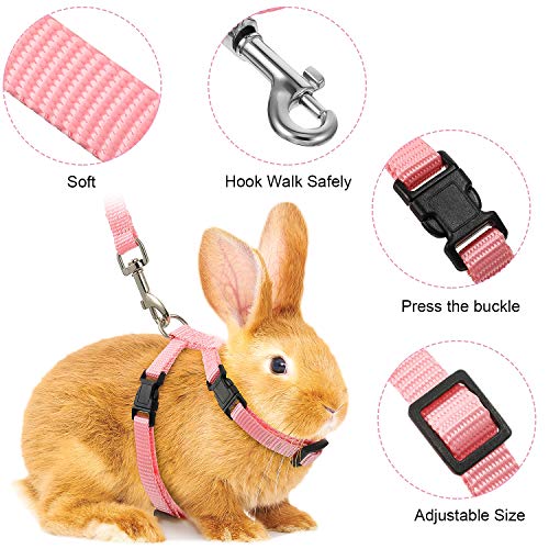 rabbit leash harness