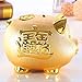Mose Cafolo Gold Piggy Bank ~ We Wish You Wealth and Success Saving Box Piggy Bank Coin Bank for Home Decor, Holiday and Birthday Gift