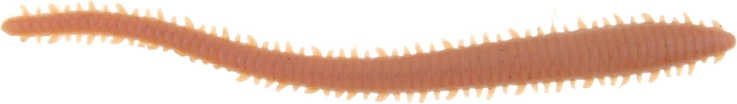 Best Sand Blaster Bait Caster