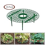 Growsun Strawberry Supports Keeping Fruit Elevated to Avoid Ground Rot,10 Pack