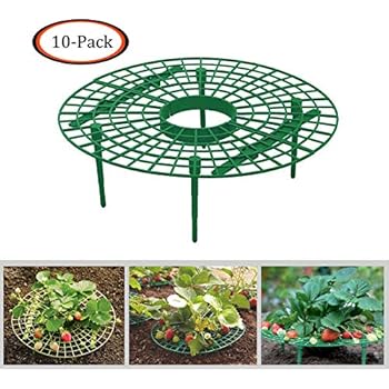 Growsun Strawberry Supports Keeping Fruit Elevated to Avoid Ground Rot,10 Pack