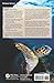 The Biology of Sea Turtles, Volume III (CRC Marine Biology Series)