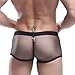 Leories Men's Openwork Mesh Breathable Underwear Lingerie Bodysuit Briefs
