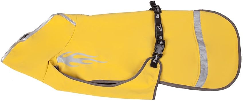 black doggy outdoor jacket