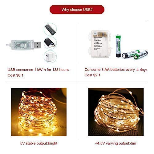 Cocoselected Warm White Twinkling Fairy Lights USB Powered,33ft 100 Micro LEDs String Twinkle Lights with Remote Control Teen Girls Bedroom Decor Kids Night Light