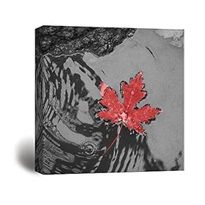 Canvas Prints Wall Art - Red Maple Leaf | Modern Wall Decor/Home Decoration Stretched Gallery Canvas Wrap Giclee Print. Ready to Hang - 12" x 12