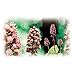 Petadolex 50 mg patented PA-free butterbur root extract - Sample Pack