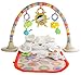 Fisher-Price Cuddle 'n Play Gym, My Little Snugapuppy