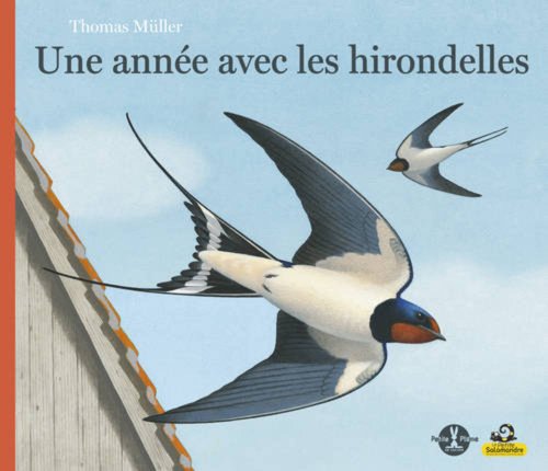 Une  année avec les hirondelles