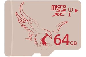 BRAVEEAGLE Micro SD Card 64GB UHS-I 3 SDXC Memory Card for Dashcam Camera (64GB UHS-I 3)