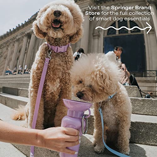 Springer Dog Water Bottle Portable Travel Water Bottle Dispenser for