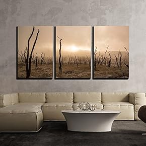 3 Piece Canvas Wall Art - Wasteland with Foggy Sky - Modern Home Art Stretched and Framed Ready to Hang - 16"x24"x3 Panels