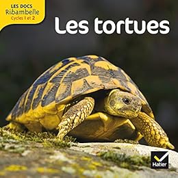 Les  tortues