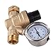 Water Pressure Regulator, Brass Lead-Free Adjustable RV Water Pressure Reducer with Guage, by Velraptor (Style 2)