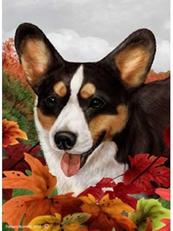 tri color cardigan welsh corgi