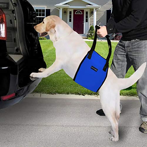 Dog Lift Harness Sling Large ACL Brace for Rear Leg Support of Old K9