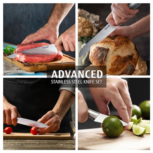 hecef Professional Kitchen Knives Set, All Stainless Steel Silver, Chef's Knife, 5 Pieces Kitchen Knife and 5 Pieces Knife Liners