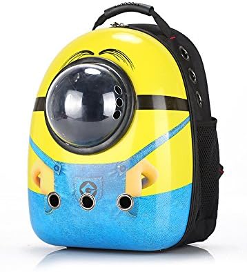 pokemon pet carrier