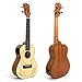 Electric Acoustic Ukulele Soild Spruce 23 Inch Concert Ukelele Uke Hawaii Guitar