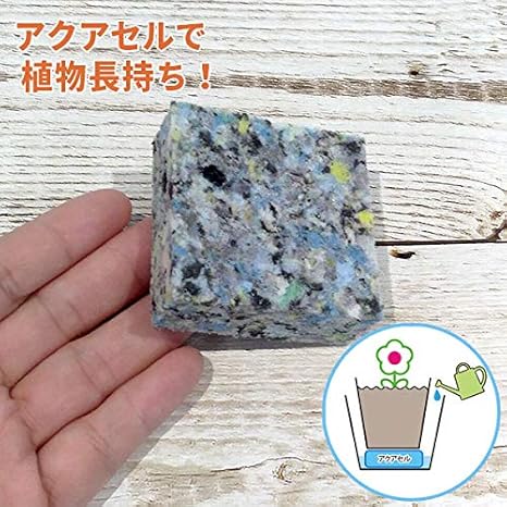 Amazon Co Jp 水やりサポート資材 アクアセルａ 5 5 5 5 ｈ2cm 10個セット 水管理ラクラク 植物の水枯れや水の多すぎを防ぐ吸水 保水スポンジ ホーム キッチン