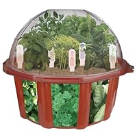 DuneCraft Dome Terrariums - Herbs