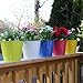 brightmaison Lily Hanging Planter for Balcony & Garden Decor, Plant Pots with Hooks for Hanging - Succulent Pots Set of 5, Multi Color