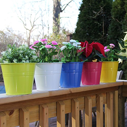 image for brightmaison Large Hanging Tin Metal Basket Bucket Planters Pot Assort