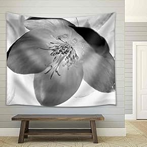 X-Ray Image of Flower and Leaves. Black and White Macro Photography. - Fabric Wall Tapestry Home Decor - 51x60 inches