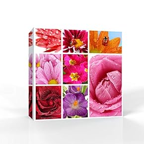 Beautiful Flowers Pictures Home Wall for Bedroom Living...