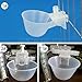 Mccng – Bird Feeding – 5pcs Poultry Bird Chicken Water Drinker Cup Plastic Bowl Automatic Drinking – Drinker Drinkers Bowl Bird Bird Feeding Drinker Chicken Feeder Water Automatic Poultry Parrot Feedthumb 2