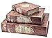 Bellaa 28151 Book Boxes The Holy Bible Secret Storage Set of 3