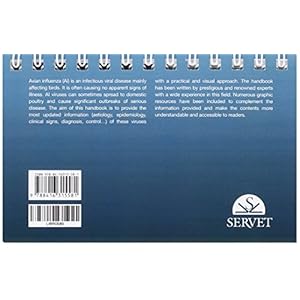 Main challenges in poultry farming. Avian influenza