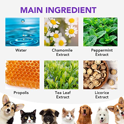 Pet Clean Teeth Spray, Pet Clean Teeth Cleaning Spray for Dogs & Cats, Pet Clean Oral Spray, Fresh Breath for Pet, Targets Tartar & Plaque, Eliminate Bad Breath, 100% Safe Healthy Ingredients (2PCS)