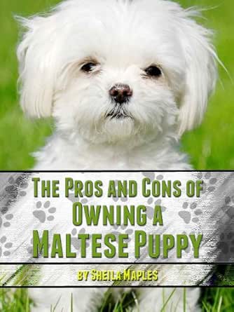 owning a maltese