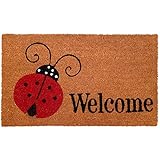 Calloway Mills 121431729 Ladybug Welcome Doormat, 17â€ x 29â€, Multicolor