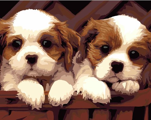 Diy home decor digital canvas oil painting by number kits Two Lovely Dog 1620 inch.