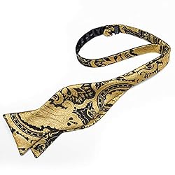 DiBanGu Gold Bow Ties for Men Self Tie Bow Tie and
