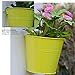 brightmaison Lily Hanging Planter for Balcony & Garden Decor, Plant Pots with Hooks for Hanging - Succulent Pots Set of 5, Multi Color
