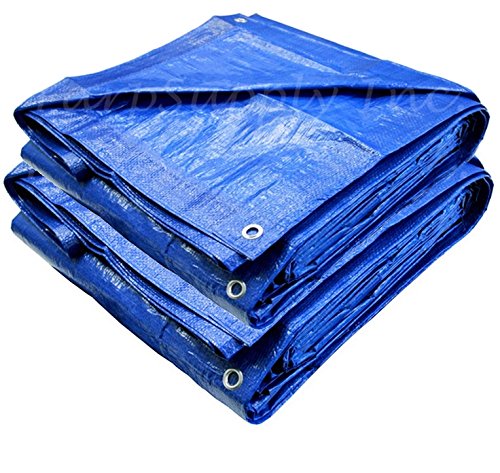 Blue Poly Tarp (12' x 20')