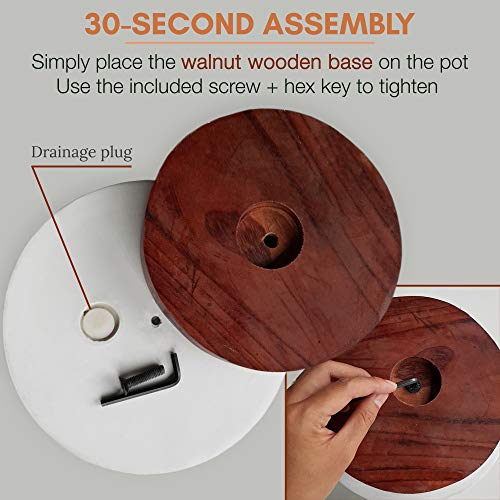 Fox & Fern New 10" Plant Pot with Walnut Wood Base - Perfectly Fits Plant Stand - Drainage Plug - Outdoor Indoor - Soft Black - Thumbnail 3