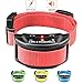 K9KONNECTION [New Color Collars] Dog No Bark Shock Collar Training System with Harmless Warning Beep & 7 Levels of Adjustable Sensitivity Control for Small, Medium & Large Dogs - Manual Included