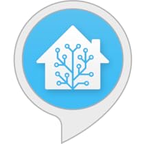 amazon home assistant alexa
