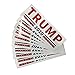 Youyouchard 10 Pcs Keep America Great President Donald Trump 2020 Election Patriotic Bumper Sticker Auto Decal Conservative Republican (White)