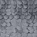Lush Decor Lillian Shower Curtain | Textured Shimmer Circle Design Bathroom, 72” x 72”, Gray